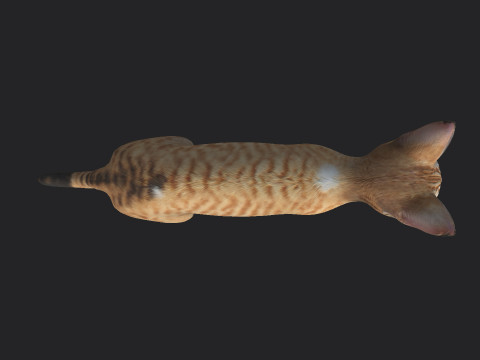 Cat 001 3Dモデル