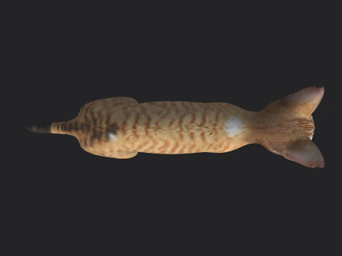 Gatto 001 Modello 3D