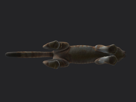Cat 001 3Dモデル