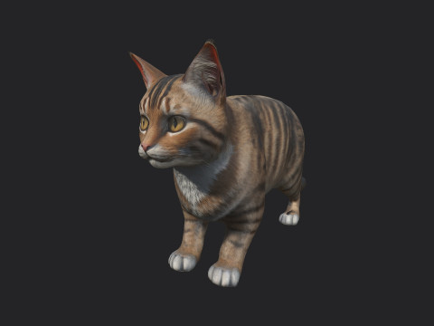 Cat 001 3D Model
