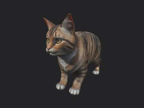 Gato 001 Modelo 3D