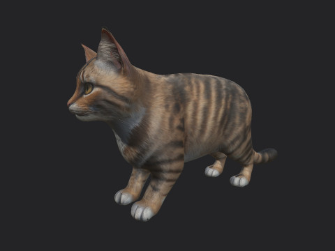 Cat 001 3D Model