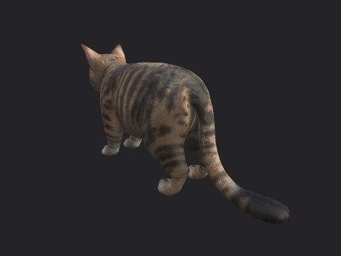 Cat 001 3D Model