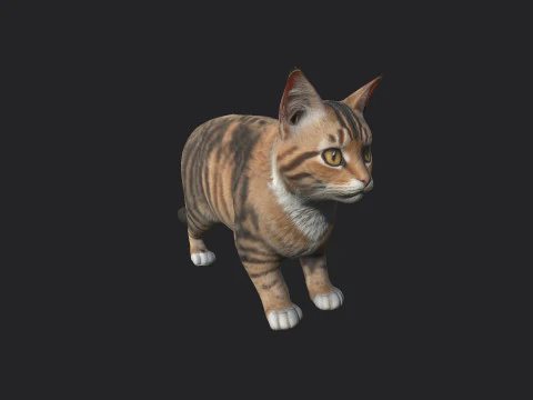 Gato 001 Modelo 3D