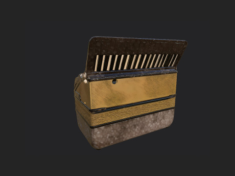 Accordion 002 3D Model