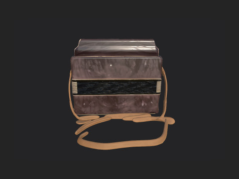 Accordion 008 3D Модель