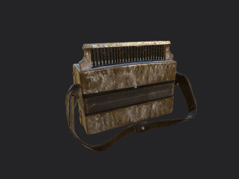 Accordion 011 3D Model