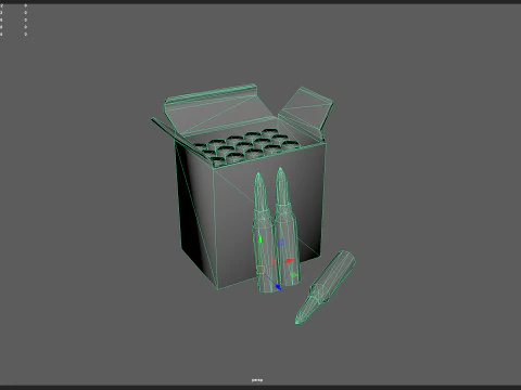 Bullet Model 003 3D Model