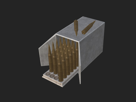 Bullet Model 004 3D Model