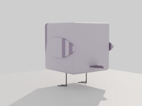 Cubic pigeon Modello 3D