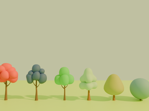 Stylized Low poly cartoon trees Modèle 3D