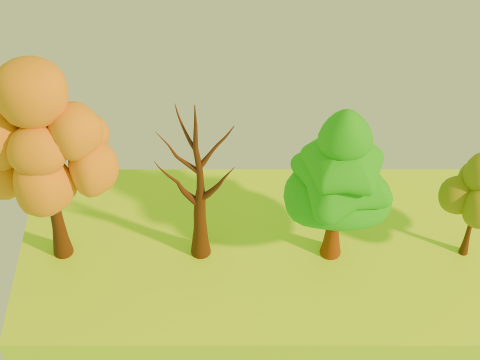 Low Poly Cartoon Trees Free Pack Modelo 3D