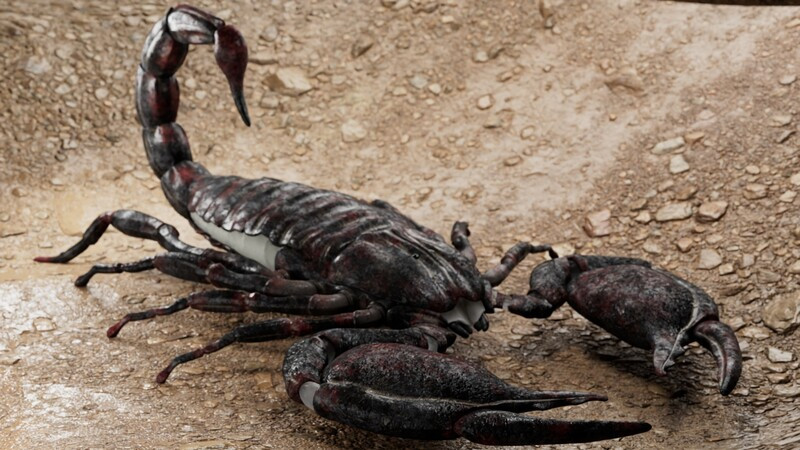 Scorpion Model 3D .c4d .max .obj .3ds .fbx .stl .blend 
