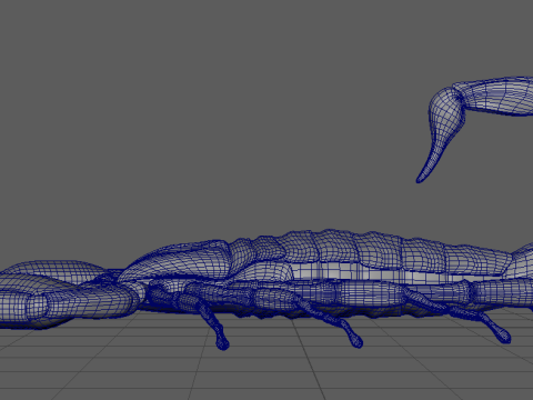 Scorpion Model 3D