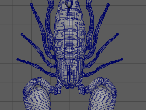 Scorpion Model 3D