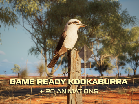 Game Ready Kookaburra with Animations Low-poly 3D-Modell