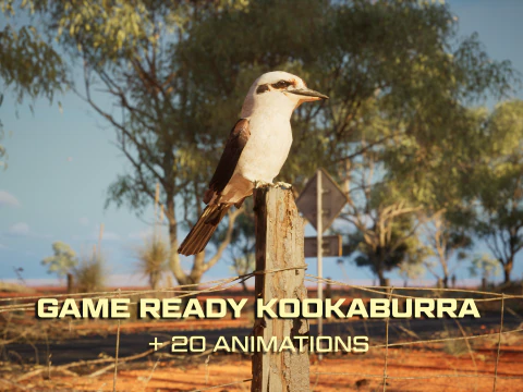 Kookaburra pr&ecirc;t pour le jeu avec animations Low-poly Modèle 3D
