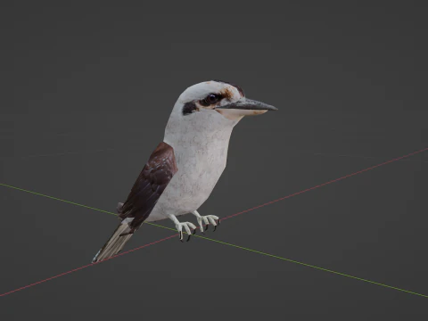 Game Ready Kookaburra with Animations Low-poly 3D Model