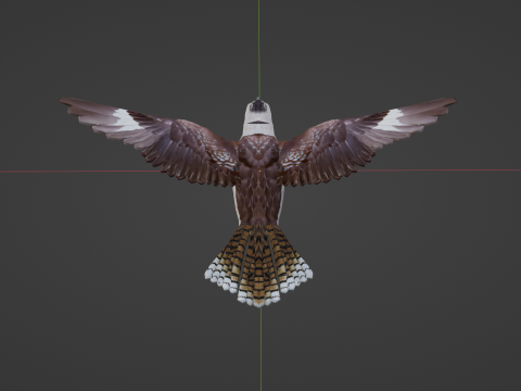 Game Ready Kookaburra with Animations Low-poly 3Dモデル