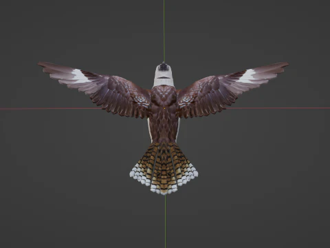 Game Ready Kookaburra with Animations Low-poly 3D Model