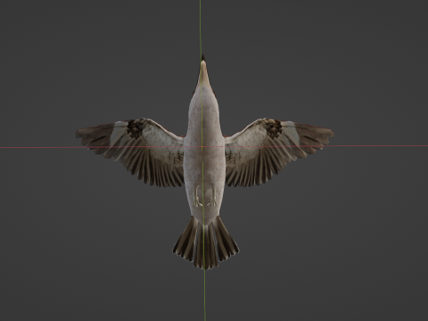 Game Ready Kookaburra with Animations Low-poly 3Dモデル