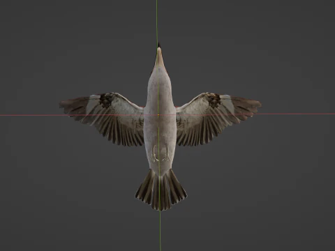 Game Ready Kookaburra with Animations Low-poly 3D Model