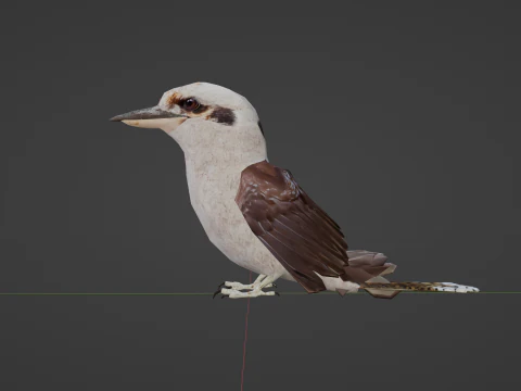 Game Ready Kookaburra with Animations Low-poly 3D Model