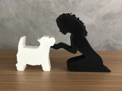 Girl and her Yorkshire - wavy hair 3D Print Model