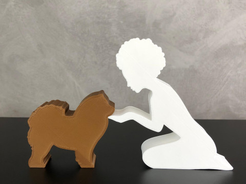 Girl and her Chow Chow - afro hair Model do druku 3D
