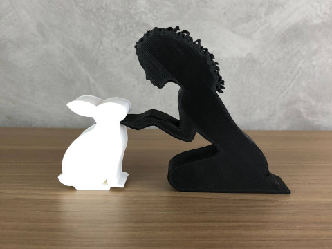 Girl and her Rabbit - wavy hair 3Dプリントモデル
