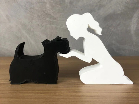 Girl and her Scottish Terrier - tied hair 3D Print Model
