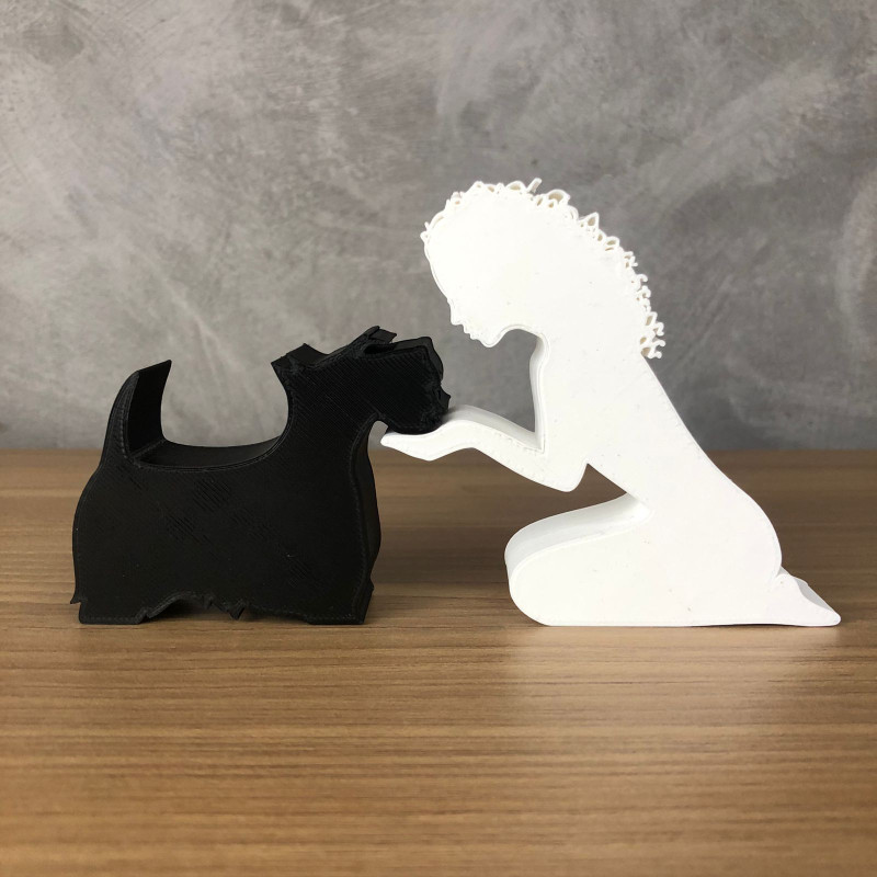 Girl and her Scottish Terrier - wavy hair 3D Принт Модель .c4d .max .obj .3ds .fbx .stl .blend 