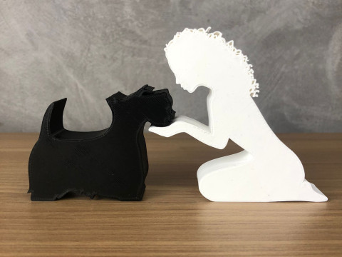 Girl and her Scottish Terrier - wavy hair 3D प्रिंट मॉडल