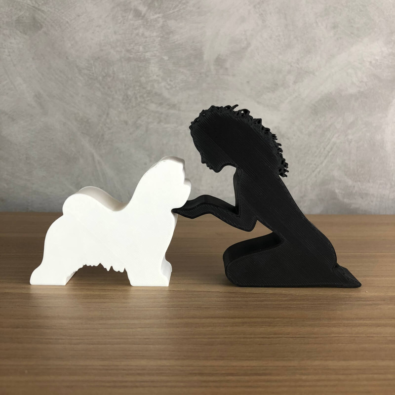 Girl and her Shih tzu - wavy hair 3D 打印模型 .c4d .max .obj .3ds .fbx .stl .blend 