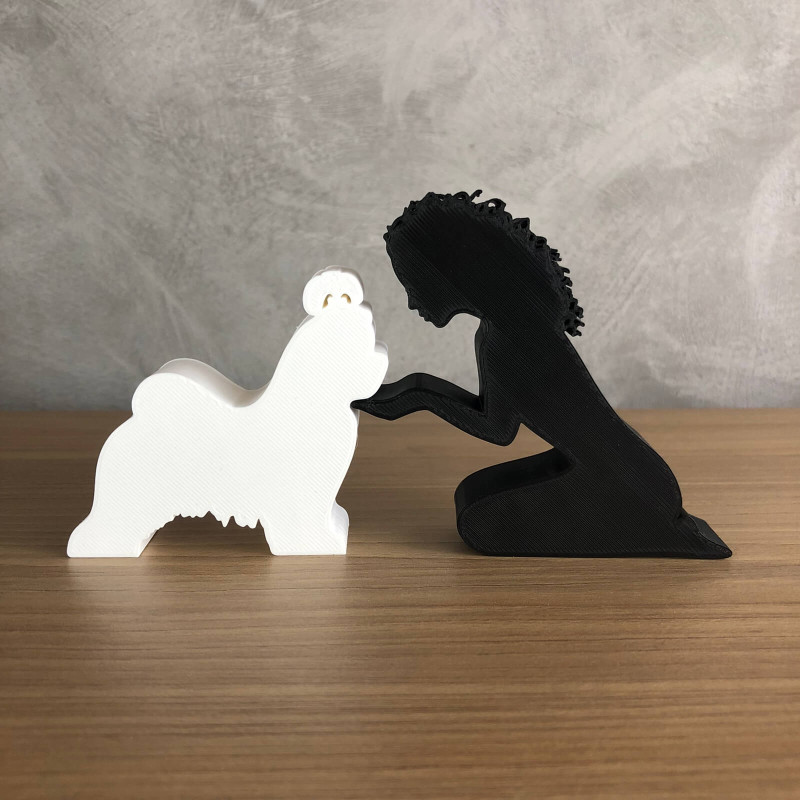 Girl and her Shih tzu - wavy hair 3D 打印模型 .c4d .max .obj .3ds .fbx .stl .blend 