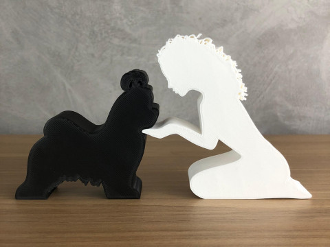 Girl and her Shih tzu - wavy hair 3D 打印模型
