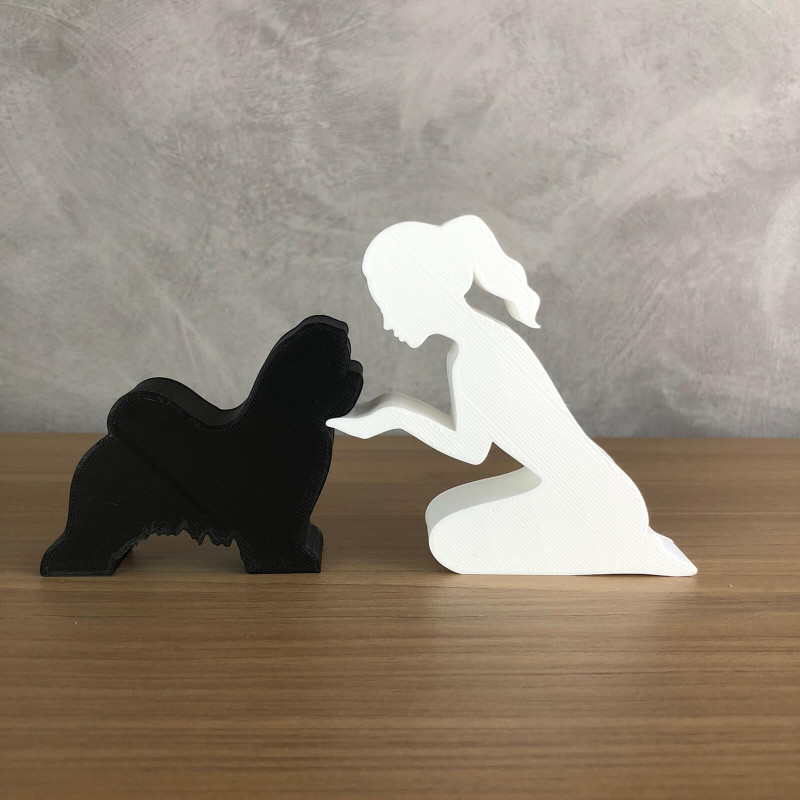 Girl and her Maltese - tied hair Modello di stampa 3D .c4d .max .obj .3ds .fbx .stl .blend 