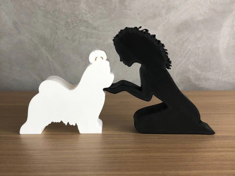Girl and her Maltese - wavy hair 3D Print Model