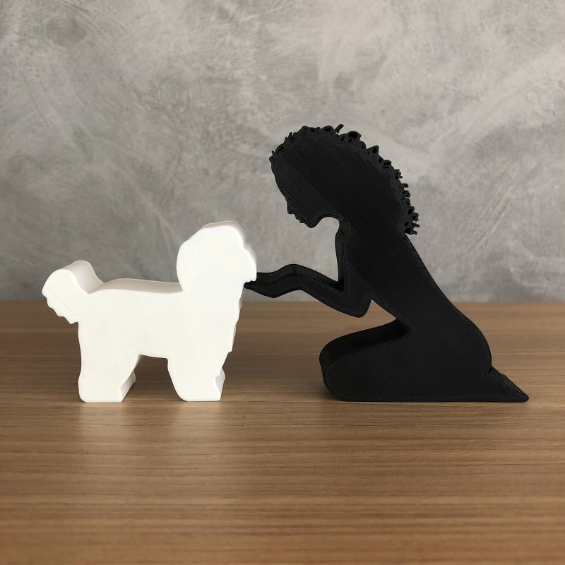 Girl and her lhasa apso - wavy hair Modello di stampa 3D .c4d .max .obj .3ds .fbx .stl .blend 