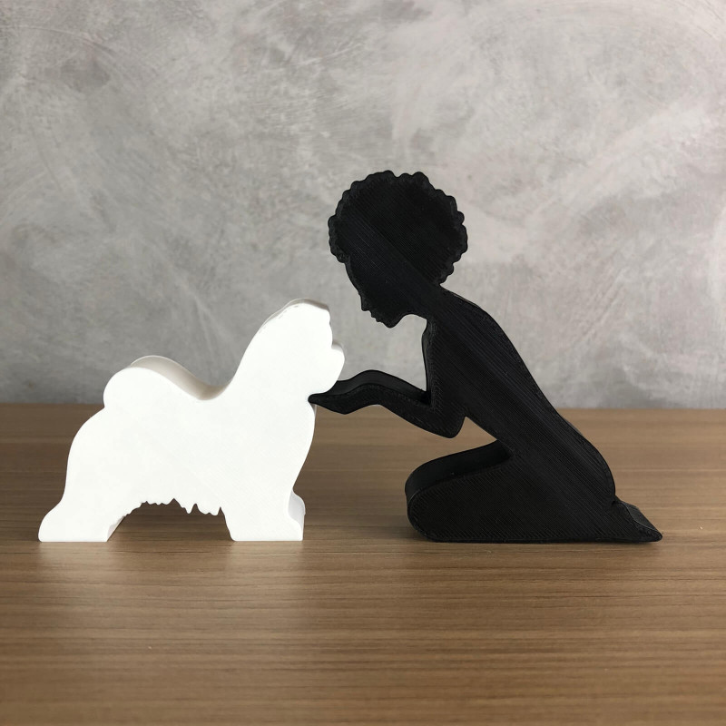 Girl and her lhasa apso - afro hair Model do druku 3D .c4d .max .obj .3ds .fbx .stl .blend 