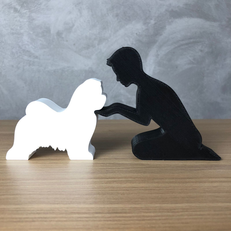 Boy and his Shih Tzu 3D 打印模型 .c4d .max .obj .3ds .fbx .stl .blend 
