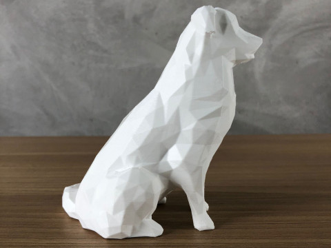 Low Poly Australian Shepherd Modèles 3D en vedette