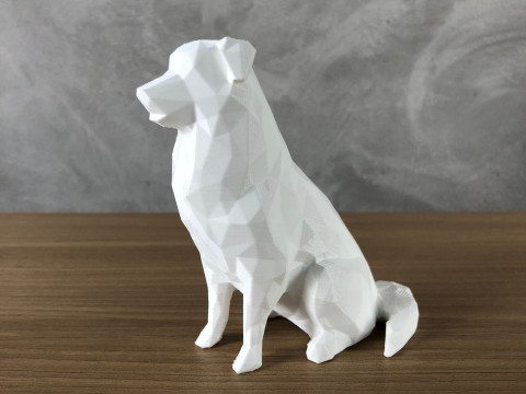 Low Poly Australian Shepherd Modèles 3D en vedette