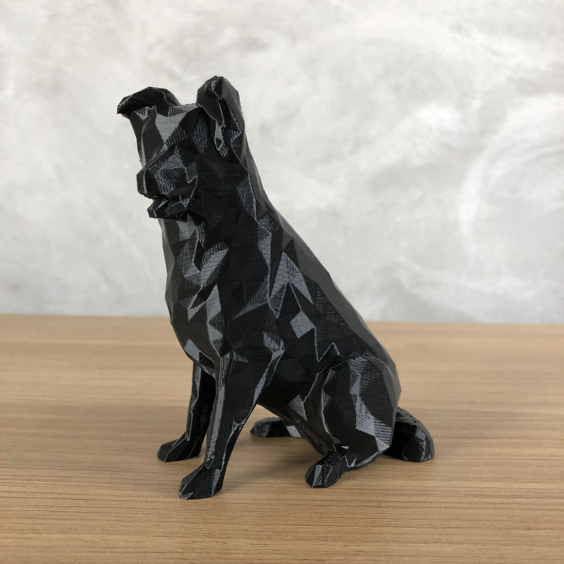 Low Poly Border Collie 3D Принт Модель .c4d .max .obj .3ds .fbx .stl .blend 