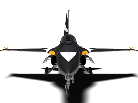 Aerobatics Black Eagles 3D Model