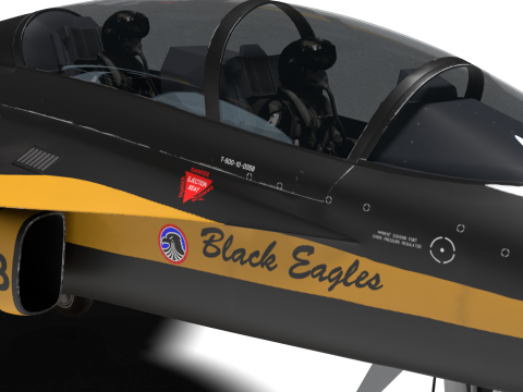 Aerobatics Black Eagles 3D Model