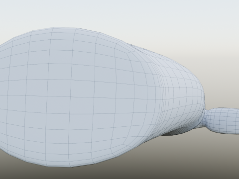 17th-19th centuries Powder Flask Modèle 3D