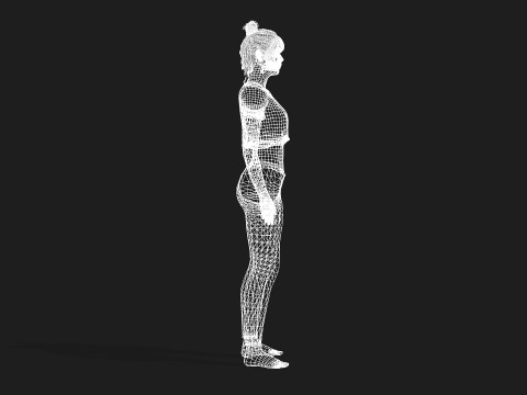 Highly Detailed 3D Female Model Modello 3D