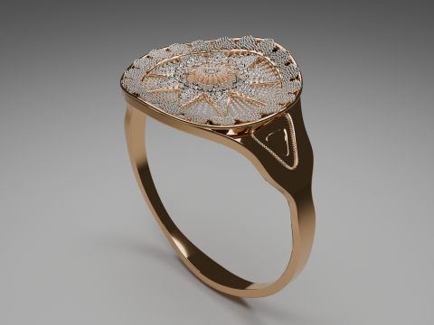 Beautiful 3d Ring Model Modelo 3D