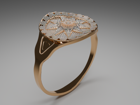 Beautiful 3d Ring Model Modelo 3D